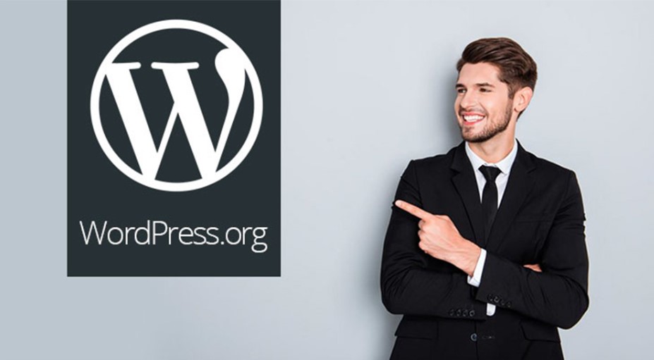 wordpress blog